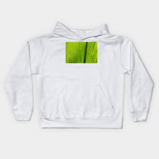 Close up of a Green Lotus Leave Texture Background Kids Hoodie